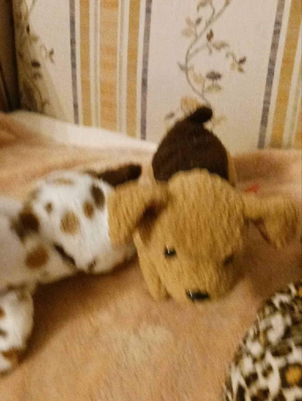 Ty Plush Dog Trio - Brown, White with Brown Spots, Leopard Print